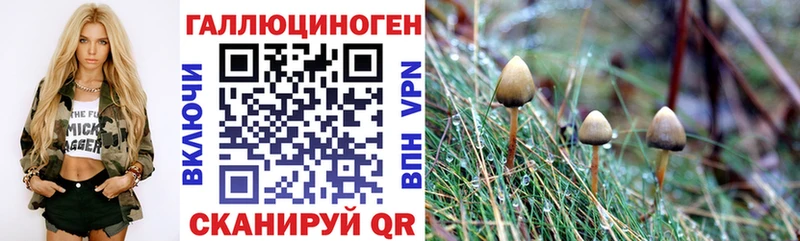 Псилоцибиновые грибы мухоморы  ОМГ ОМГ рабочий сайт  Весьегонск 
